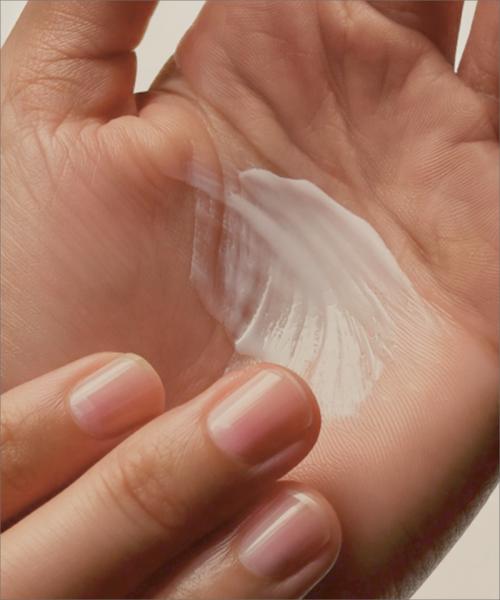 Mitternachtspark Handcreme 50ml