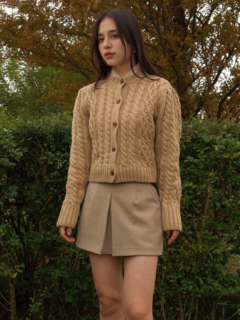 PREMIERE AMOUR Classic A-Line Skirt Pants - Beige