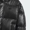 adidas Originals FW24 DAUNENJACKE Daunenjacke Schwarz JC6797