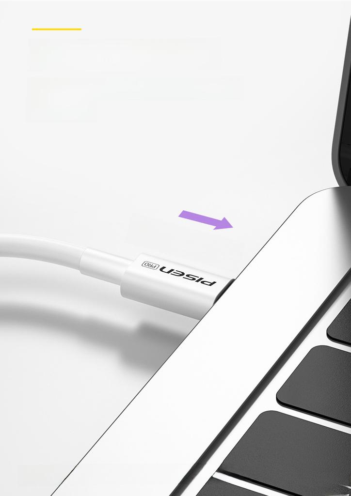 PISEN 100W Dual USB-C PD Fast Charging Cable for Apple 15 & Notebooks