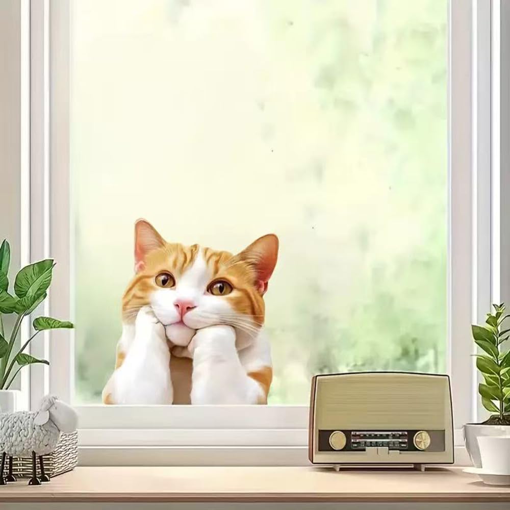 Two Thinking Cat Pack Vinyl Decal Sticker, Waterproof Poly Beer Covered for Cars, Laptops and Smooth Surfaces A098