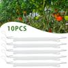 Hook Plant Hooks Clamps Planting Cucumbers Garden Garden Tools 10pcs Greenhouse Plant Hooks Plant Supports Plant Ties
