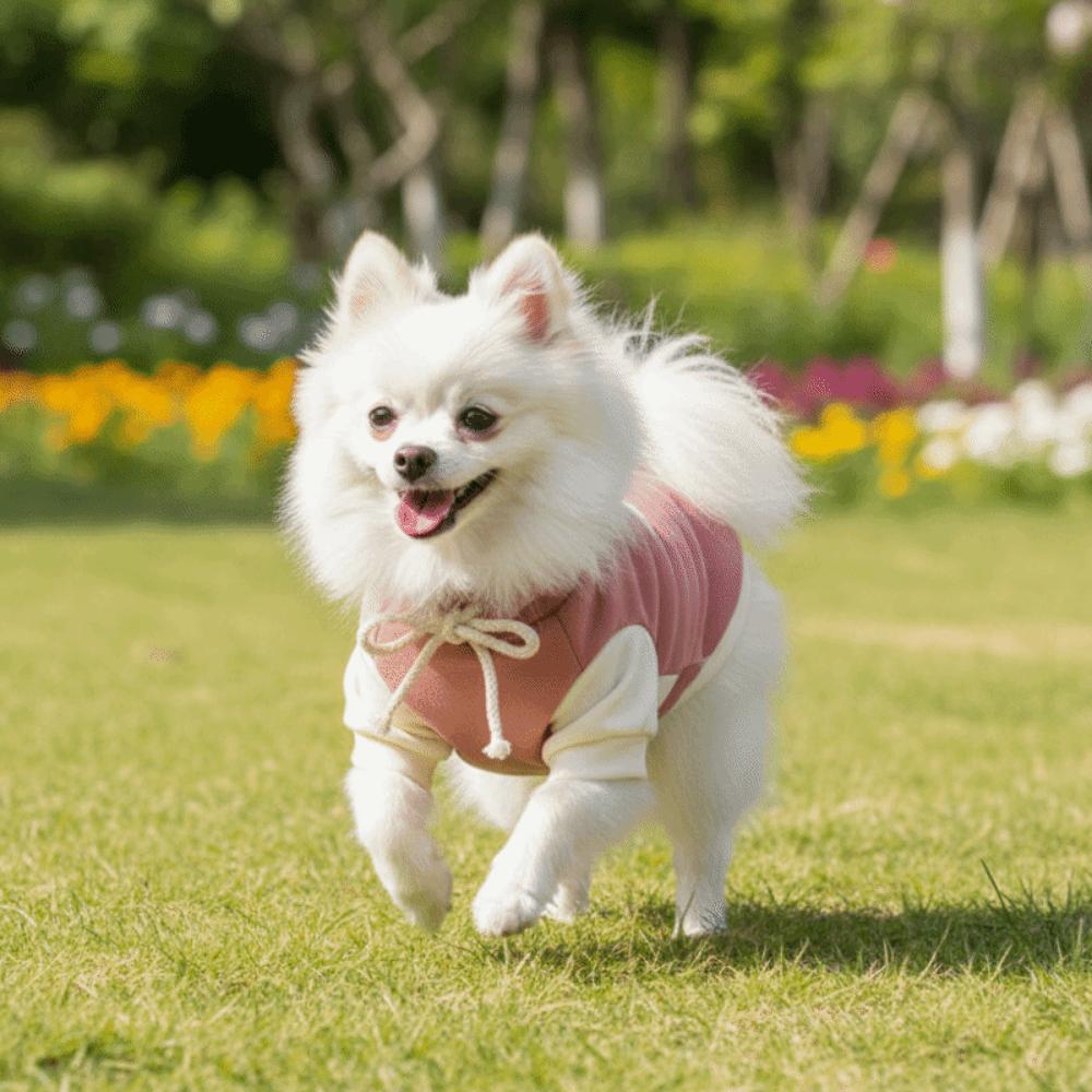 Pet Vest Patchwork Dog Sweatshirt Cozy Warm Puppy Pullovers with Bow Soft Dog Bottoming Shirt Daily Walk