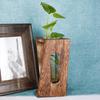 Hydroponic Test Tube Glass Vase: Creative 3D Ornament for Living Room Flower Arrangements - Simple Desktop Decoration