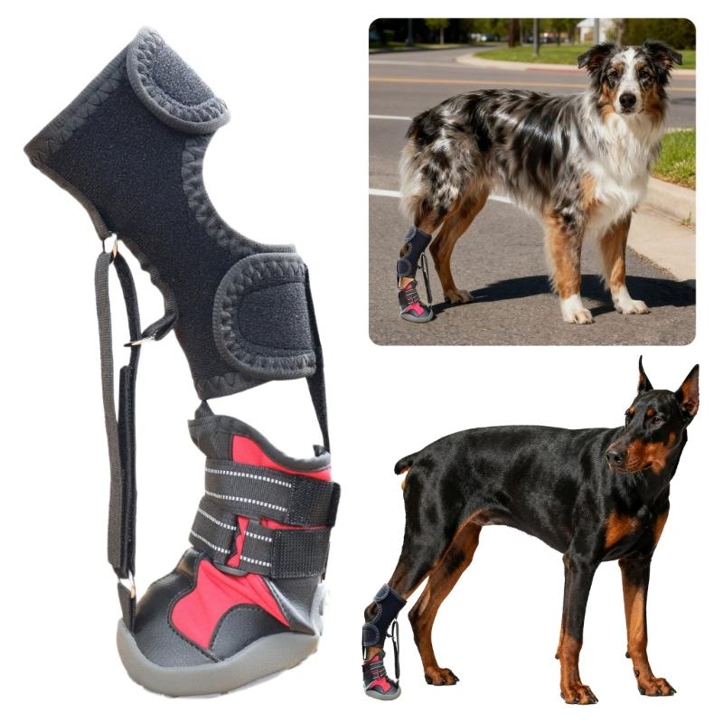Drop Foot Brace with Reel(No Knuckling Boot Brace) for Dog Corrective Dog Shoes to Safely Lift Toes for foot Issue