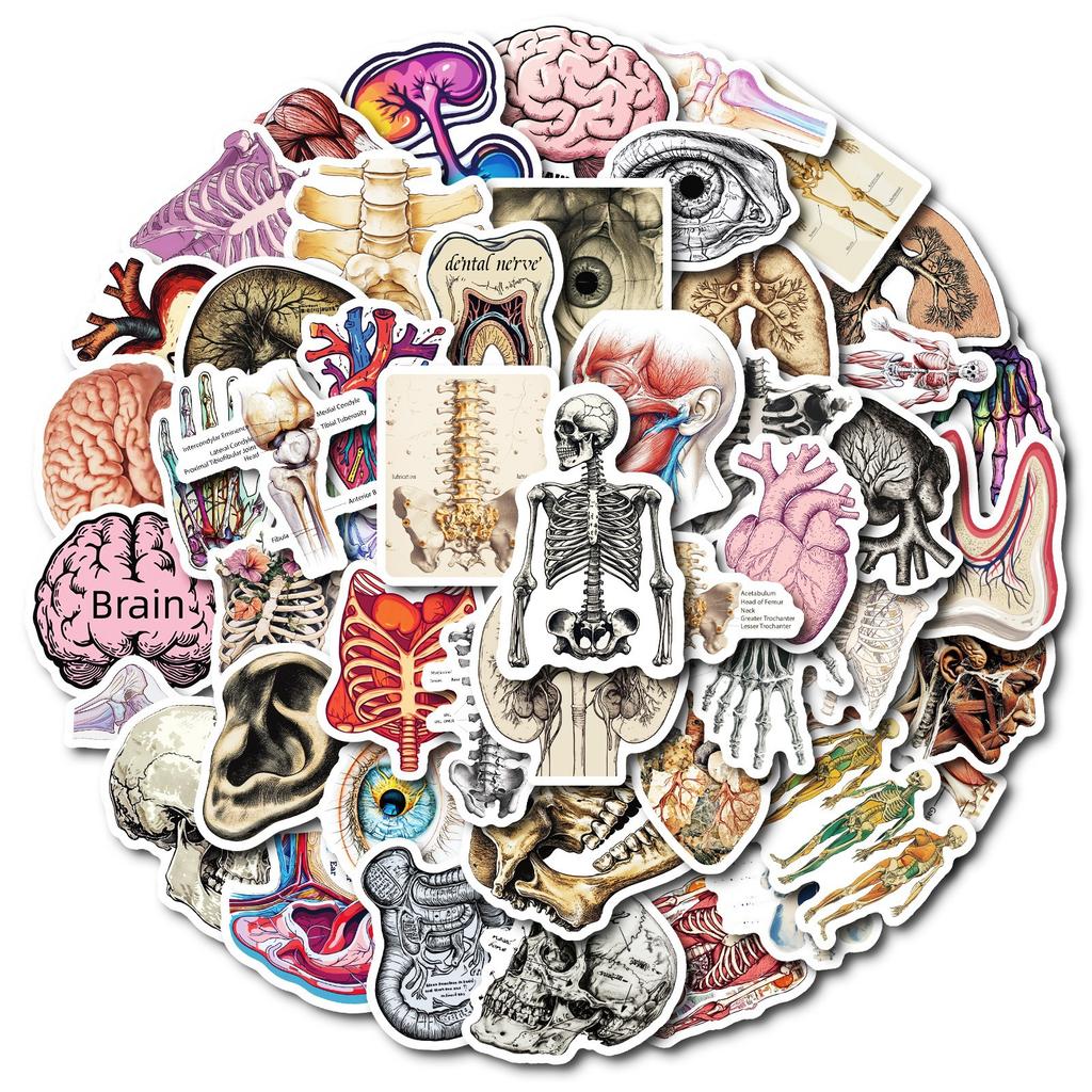 - Stickers, Suitcase Stickers, Skateboard Stickers