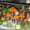 Wildblumenpilz Herbarium Hängende Dekoration Indoor Outdoor Garten Fenster Wandbehang Pilz gepresste Blume Kunst Ornament