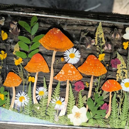 Wildblumenpilz Herbarium Hängende Dekoration Indoor Outdoor Garten Fenster Wandbehang Pilz gepresste Blume Kunst Ornament