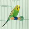 Bite Resistant Parrot Climbing Stand Wear Resistant Frosted Station Pole  Parrot Training