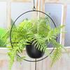 Wisząca doniczka na kwiaty Kreatywny dekoracyjny wiszący kosz na sukulenty na balkon Łatwy w montażu Lekki Dekoracja domu