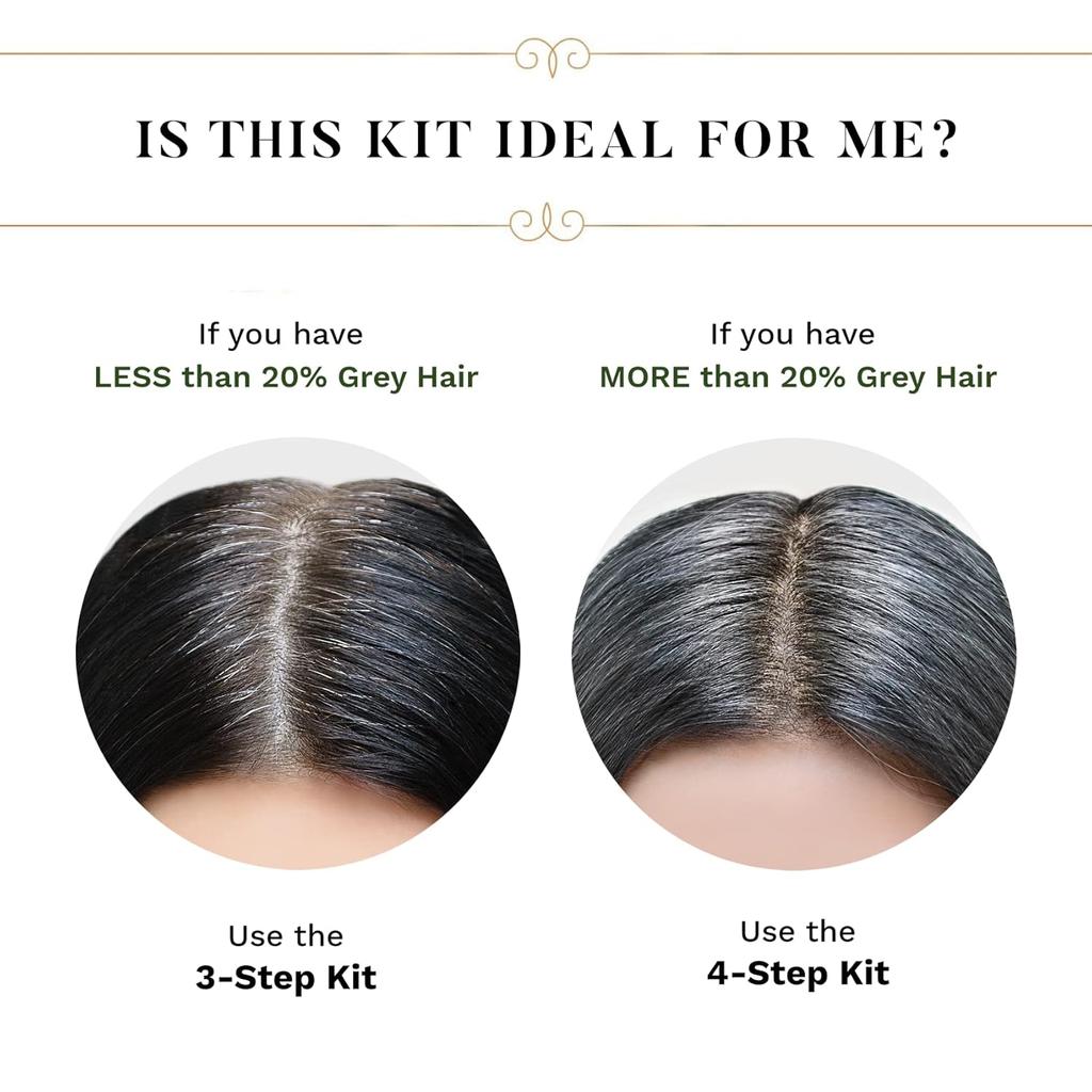 SESA 4 Step Natural Hair Colour Kit For Grey Hair Coverage Organic Ayurvedic No Ammonia PPD Peroxide 200g + 40ml DIY Use