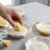 Raised Teeth Ceramic Grater Plate 2-in-1 Manual Garlic Masher Kitchen Puree Grater  Restaurant