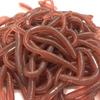 10Pcs Stretchy Earthworm Prank Toy Realistic Long TPR Earthworm Simulated Wiggly Worm Tricky Props Kids Adults Halloween Party April