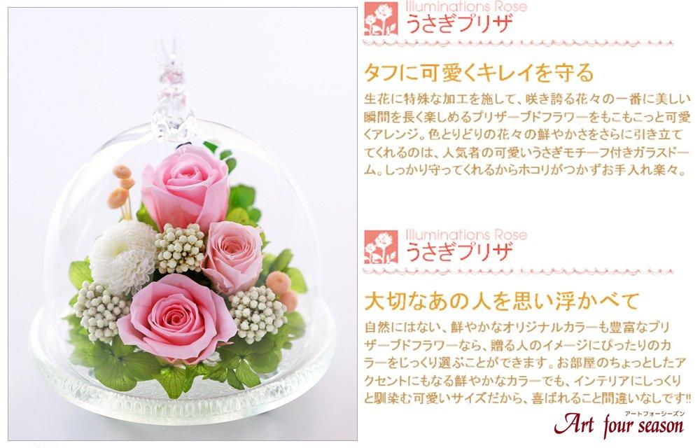 Art for Seasons Rabbit Glowing Rose Preserved Flowers (Pink)