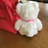 [USED] Harrods Plush Teddy Bear with Mini Bag