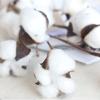 Handmade Fake Flower Home Decor Cotton Stem Dried Cotton Flower Floral Branch Artificial Plants