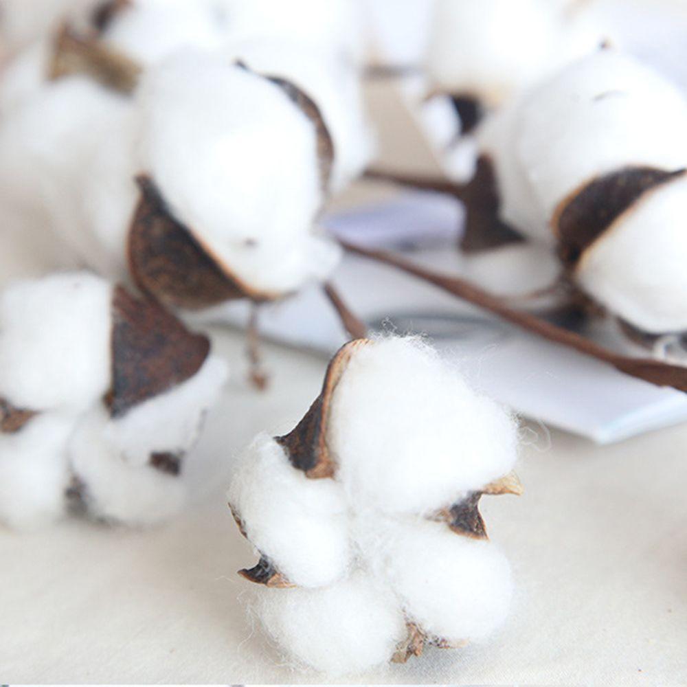 Handmade Fake Flower Home Decor Cotton Stem Dried Cotton Flower Floral Branch Artificial Plants