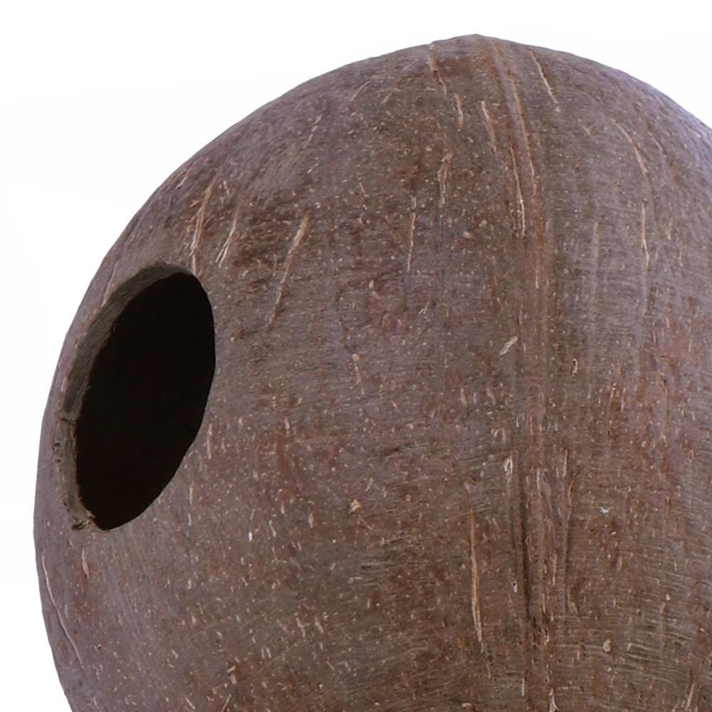 Natural Hideout Cave Smooth Coconut Terrarium for Reptiles 10-12cm