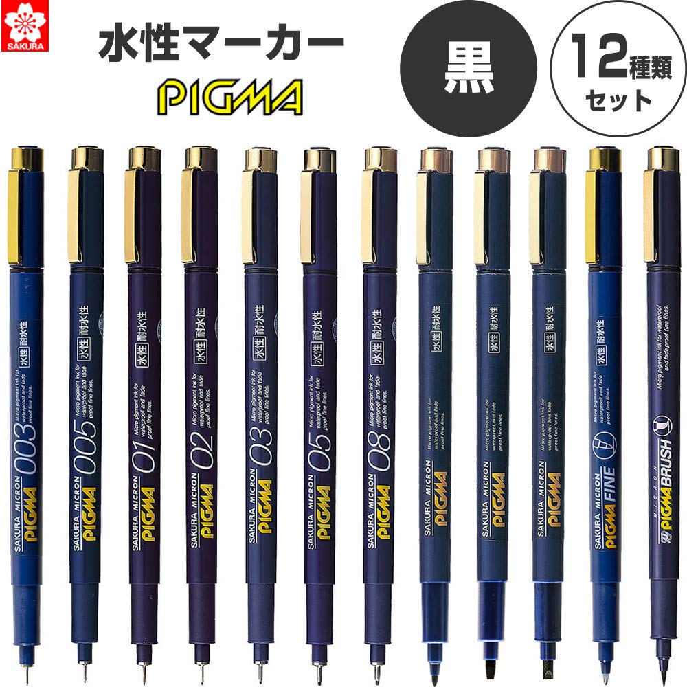 Sakura Craypas Pigma Black Complete Set of 12 BR Colors 003, 005, 01, 02, 03, 05, 08, 1, 2, 3, F,
