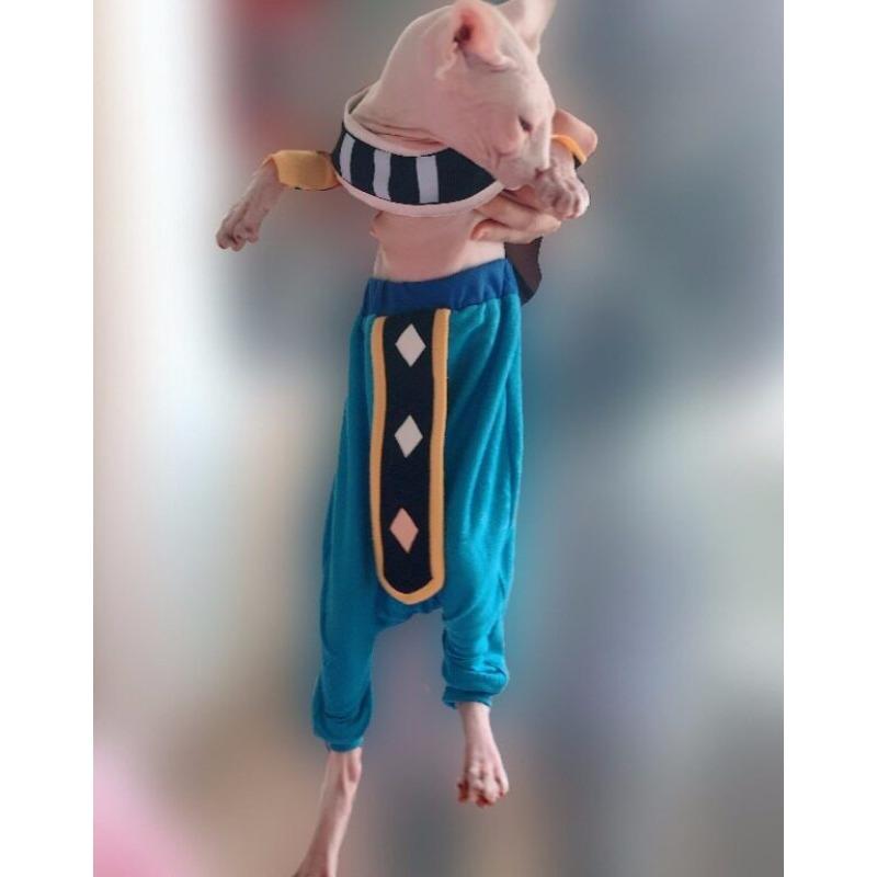 Sphinx Hairless Cat Clothes Dragon Ball God of Destruction Lord Beerus Brothers Xiangpa Pure Cotton Anti-take-off Crotch Pants