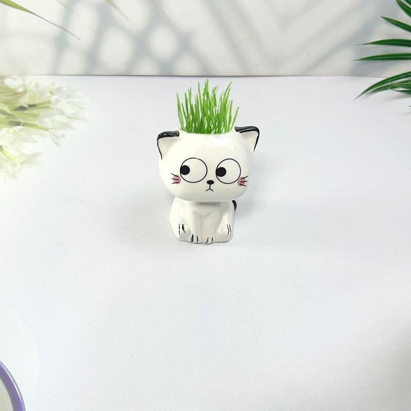 1 Stück Keramik-Blumentopf Mini Cartoon Katze Niedliche Pflanze Schreibtisch-Dekoration Topfpflanze Topf DIY Dekorieren Wissenschaftliche Bildung Schulgeschenke