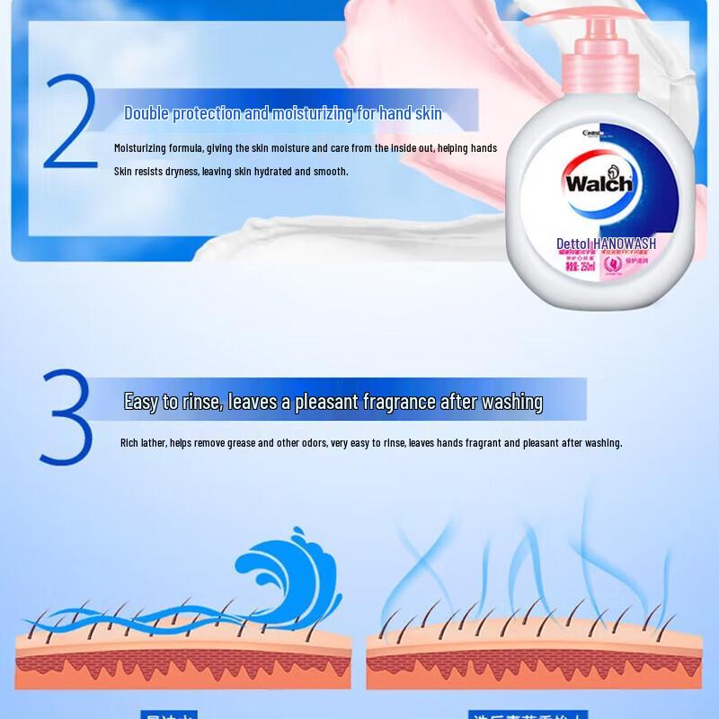 Walch Foaming Antibacterial Hand Wash Duo Pack