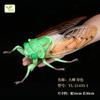 Realistic Insect Figure Collection Set Wasp Mantis Cicada Pupa Rhinoceros Beetle Nature Model Toy Gift For Fans Collectors