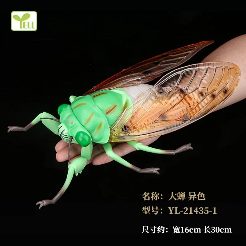 Realistic Insect Figure Collection Set Wasp Mantis Cicada Pupa Rhinoceros Beetle Nature Model Toy Gift For Fans Collectors