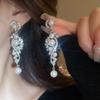 European and American Luxury Irregular Silver Needle Earrings with Rhinestone Inlay