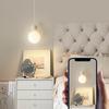 Modern Minimalist Globe Ball LED Pendant Lighting Dining Room Bedroom Bedside Hanging Lamp Restaurant Bar Counter Chandelier