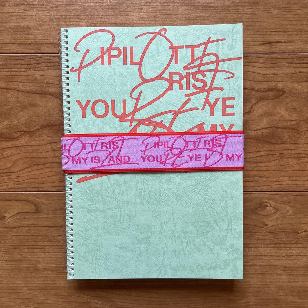 

[USED] Pipilotti List Your Eye Is My Island Catalog