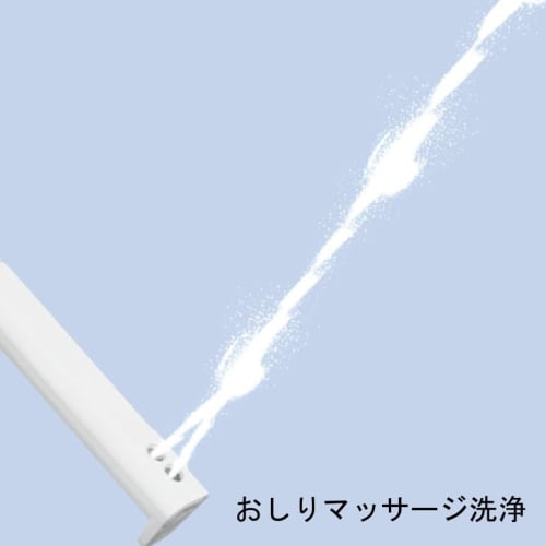LIXIL INAX Warm Water Wash Toilet Seat [Made in Japan] 2 Year Warranty Remote Control Type with Deodorizing Function Continuous Hot Water Shower Toile