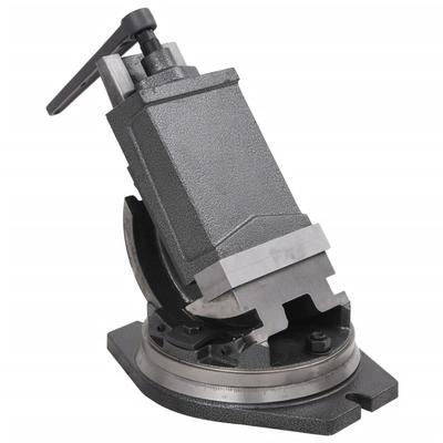 Vidaxl Tilting-Rotating Vice, 2-Axis, 160 Mm