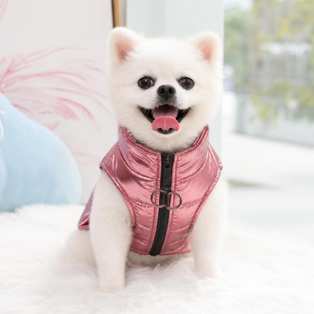 Thickened Dog Hiking Jacket Winter Dog Bodysuit Fashion Dog Vest Coat Cat
