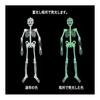Glowing Skeleton Doll 90cm Set of 2 Luminous Skeleton Toy Party Room Car Interior Decoration Horror Figure