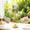 Tabletop Photo Tree Stand With Adjustable Metal Wires And Stable Round Base For Displaying Cards Photos Memos Holiday Decoration