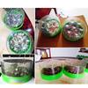 Practical 7 Holes Automatic Fly Trap Safe Reusable Plastic Fly Trap Box Non-Toxic Durable Mosquito Killler Restaurant