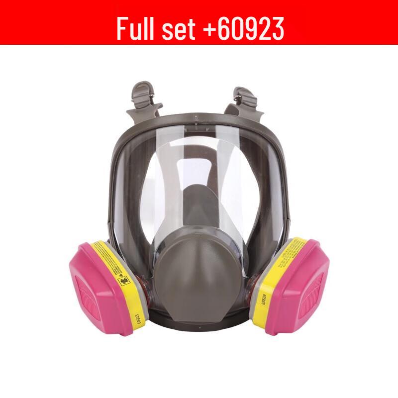 WEZHO 6800 Full Face Respirator Mask with 60923 Filter