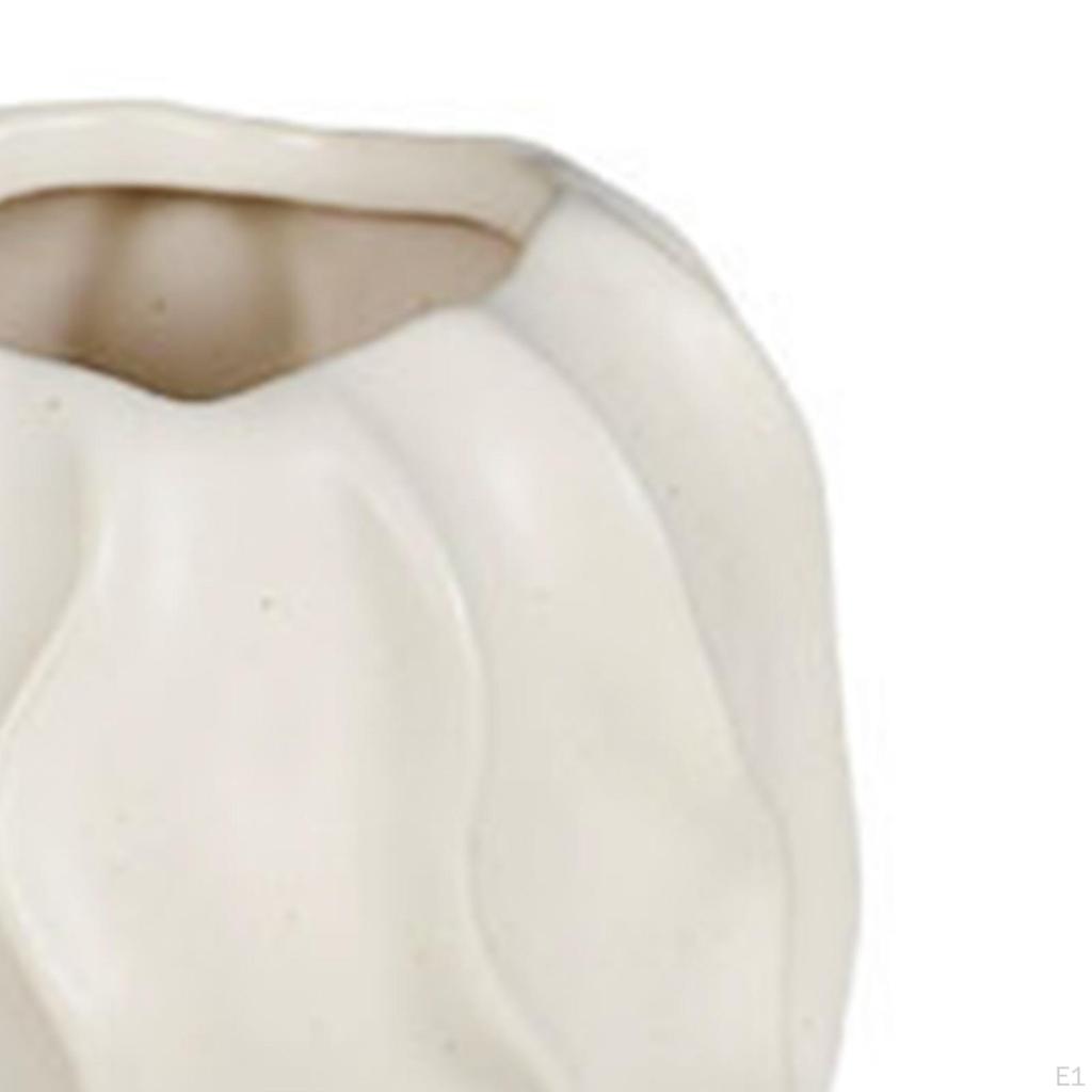 Ceramic Vase Flowerpot Houseplant Holder Photo Prop Ornament Desktop Simple for Bedroom Hallway