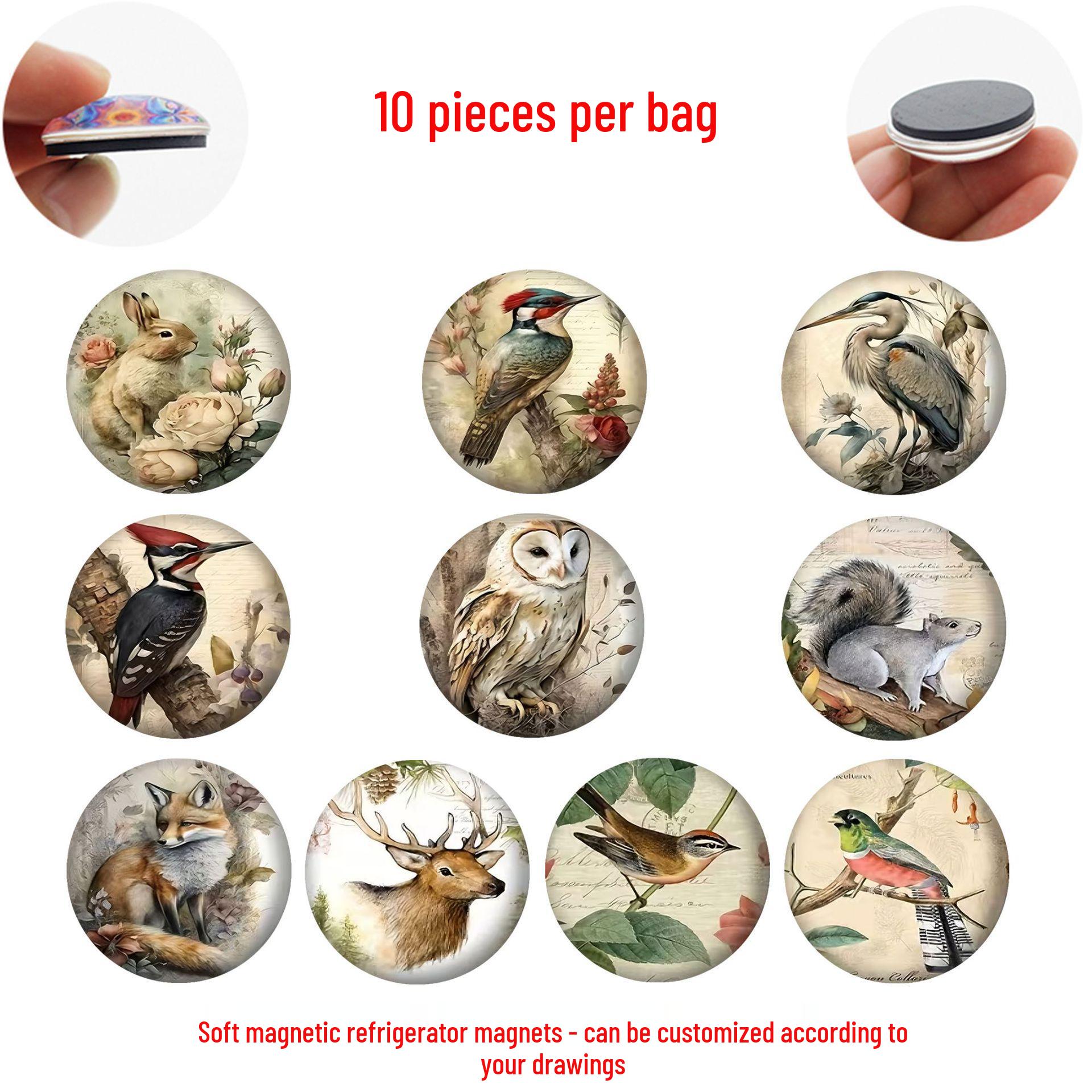 

Retro Style Animal Crystal Glass Magnetic Fridge Magnets: Woodpecker, Rabbit, Owl, Fox, Deer, and More. Set of 10 Refrigerator Magnets 25 mm (WYT332)