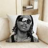 SSteve LLacy Pillow Case Living Room Sofa Cushion Cover Suitable For Home Bedroom Room Decoration