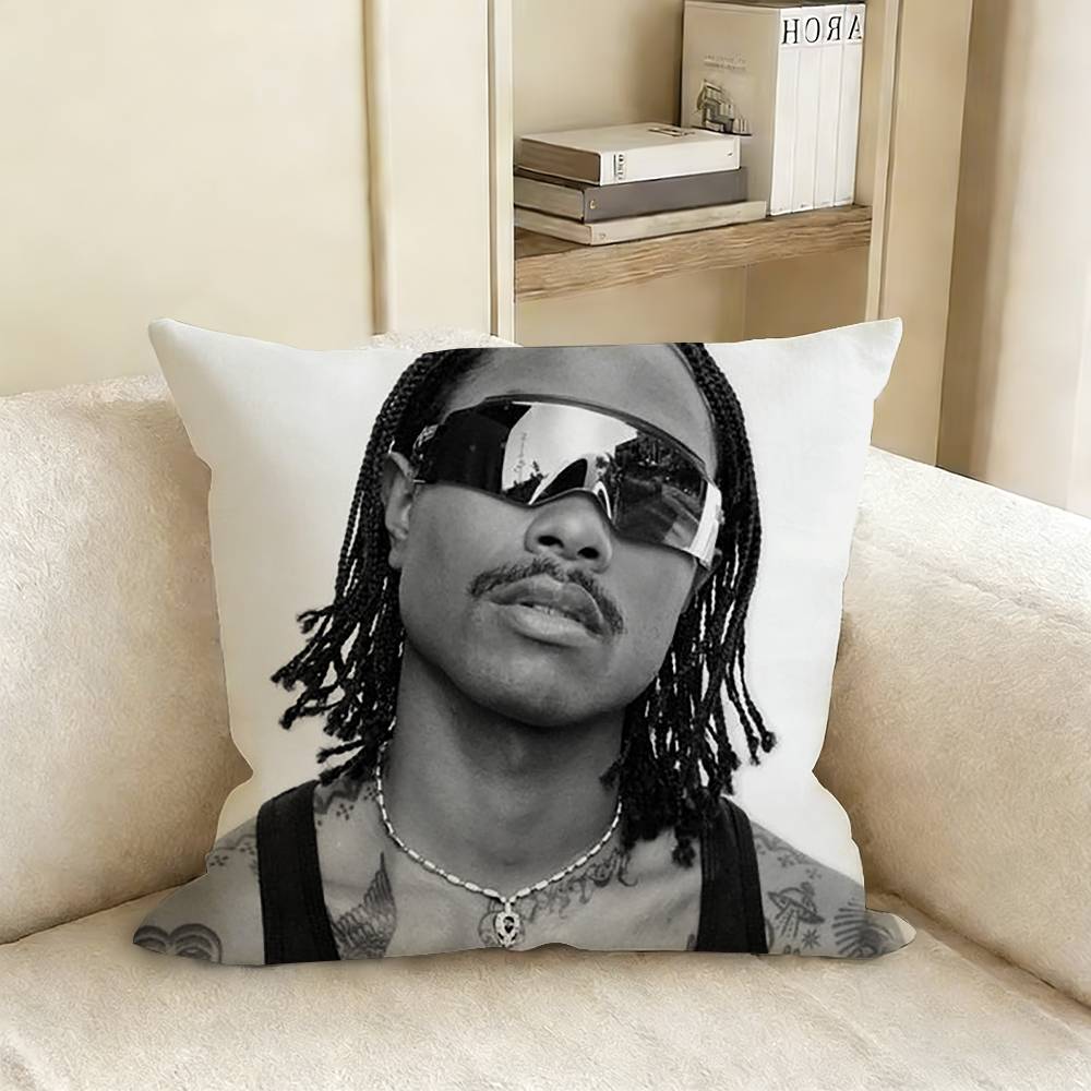 SSteve LLacy Pillow Case Living Room Sofa Cushion Cover Suitable For Home Bedroom Room Decoration