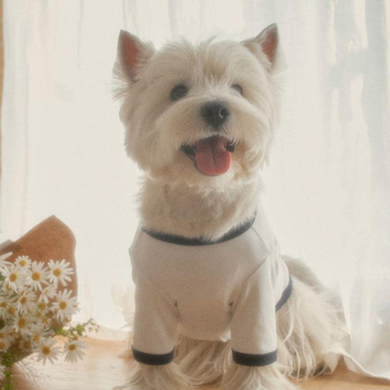 CROOKTHECHIHUAHUA Organic Silket T-shirt (2 Color)