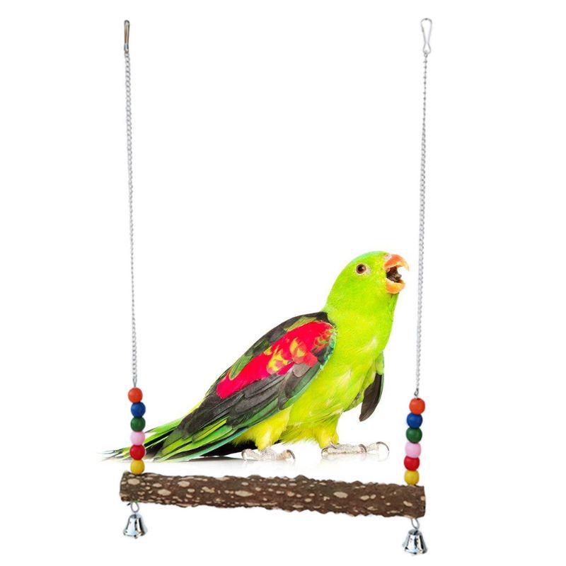 large macaw swings