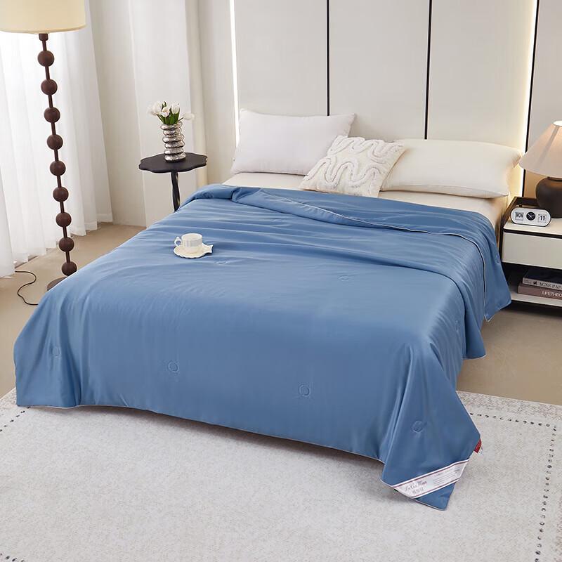 BGM-B2409 All-Season Comforter