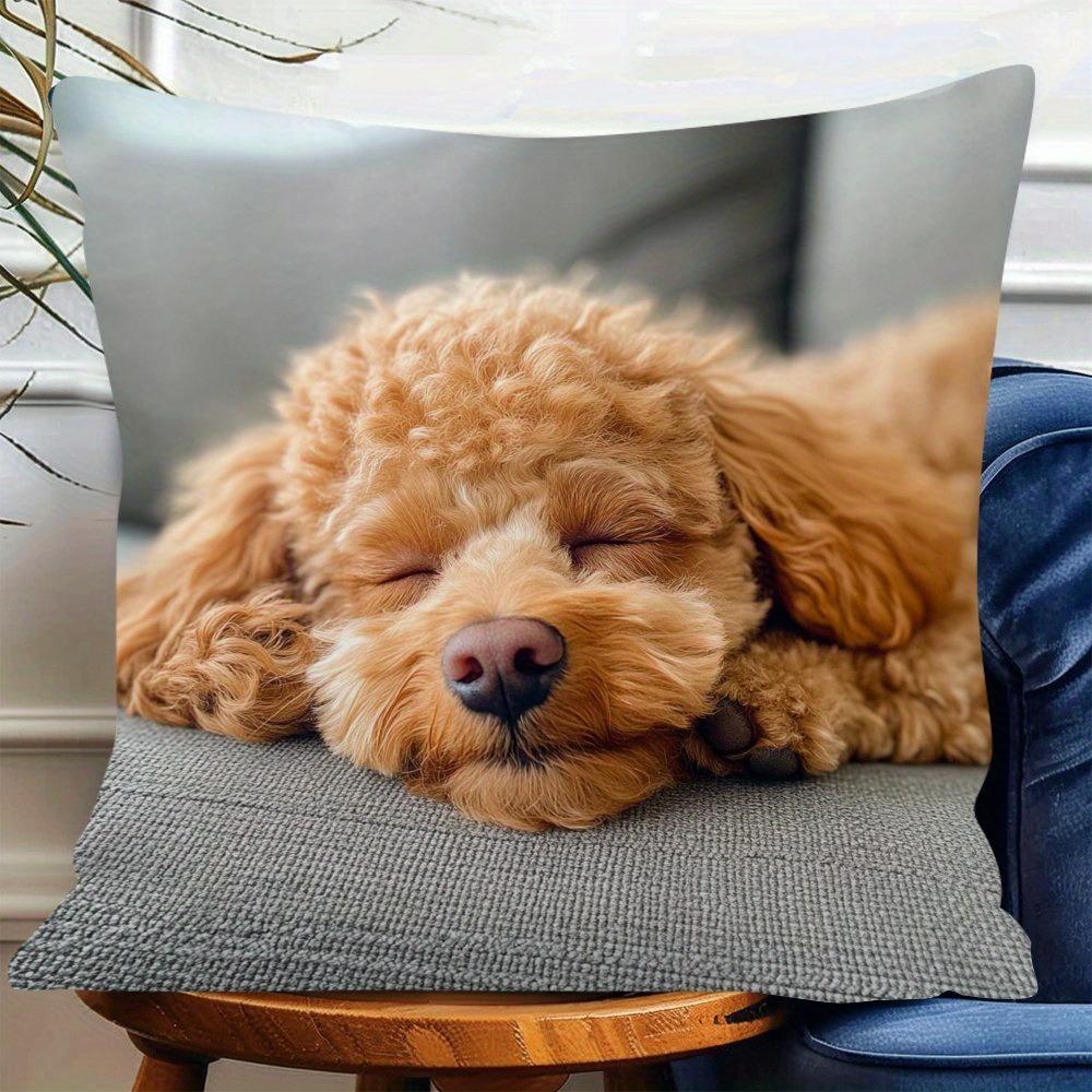 

2D Flat - 1pc Pillowcase with a Relaxed Theme Featuring a Parabolic Design 40x40cm/16x16inch