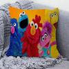 Cartoon S-Sesame-S-Street Pillow Cover Design Cushion Cover Decor Holiday Decorati