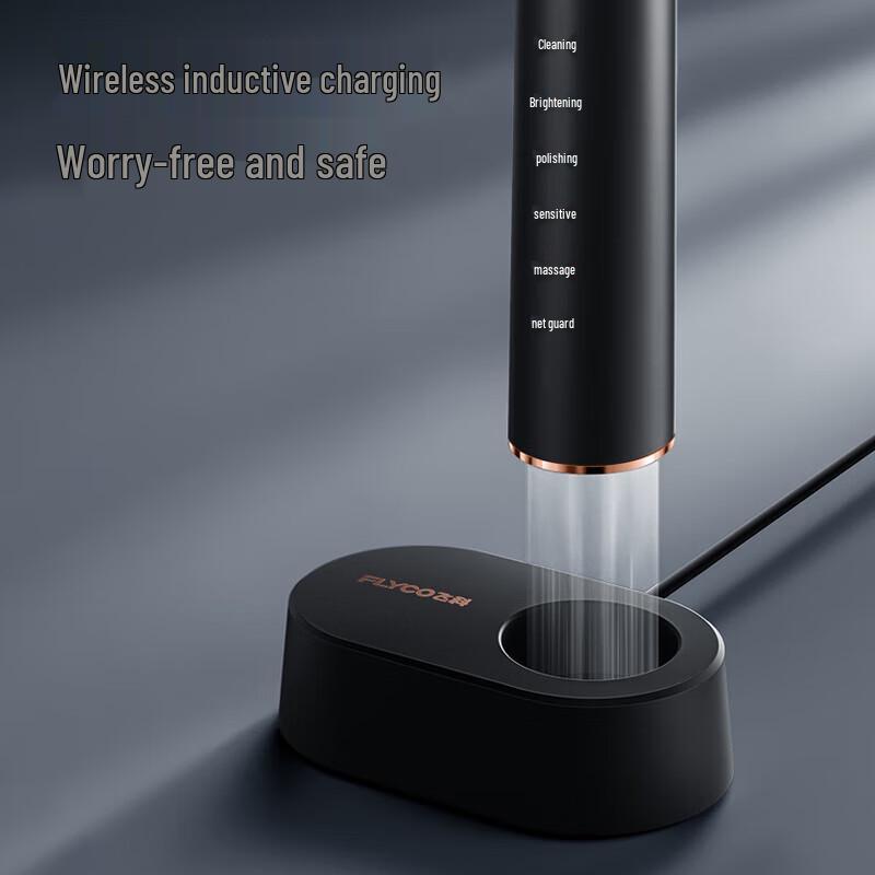 Flyco Smart Sonic Electric Toothbrush
