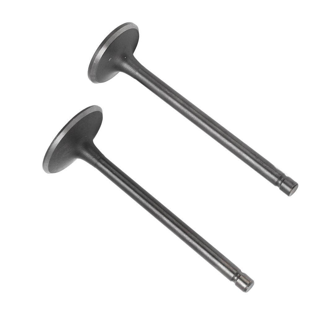Exhaust Intake Valve Kit Black Exhaust Intake Valve Set Replacement for XG250 TRICKER 2004?2017