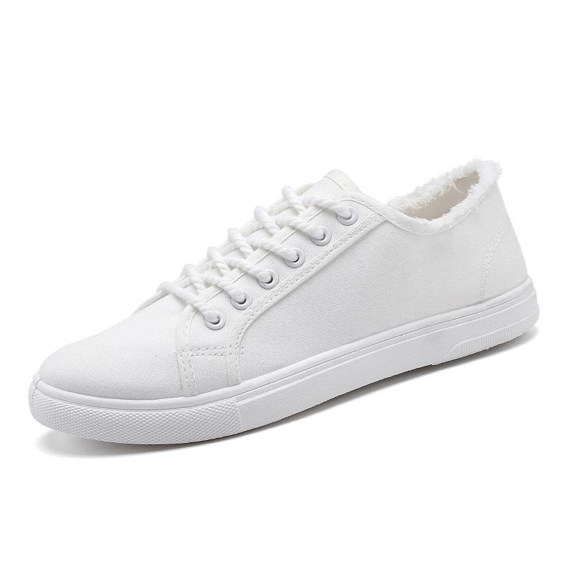 Canvas shoes men's spring men's shoes new casual shoes men's low-top little white shoes trendy versatile flat baseplate shoes